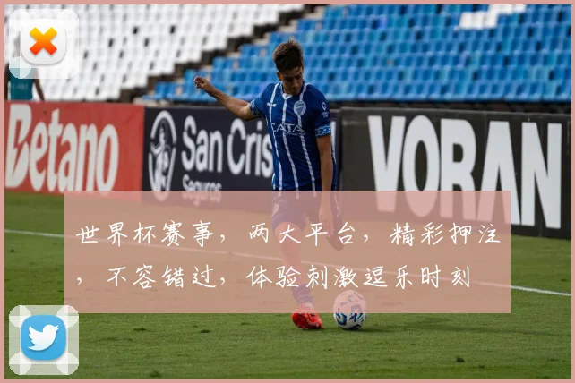 世界杯赛事，两大平台，精彩押注，不容错过，体验刺激逗乐时刻