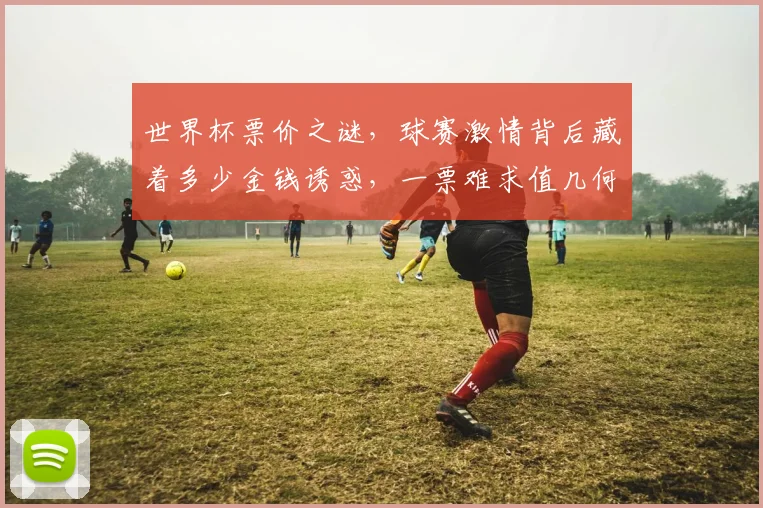 世界杯票价之谜，球赛激情背后藏着多少金钱诱惑，一票难求值几何